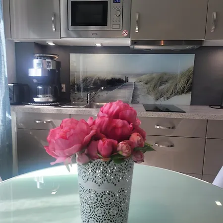 Appartement Suedterrasse Mit Kamin Bj 2019 *