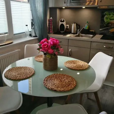 Suedterrasse Mit Kamin Bj 2019 Apartament